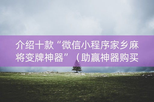 介绍十款“微信小程序家乡麻将变牌神器”（助赢神器购买)