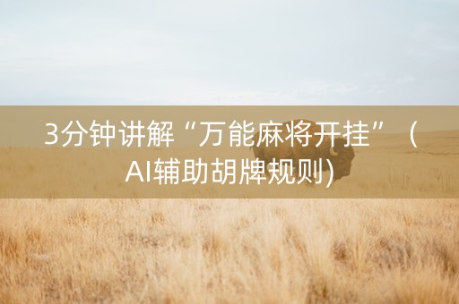 3分钟讲解“万能麻将开挂”（AI辅助胡牌规则)