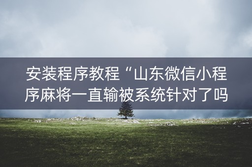 安装程序教程“山东微信小程序麻将一直输被系统针对了吗”（怎么才会赢)