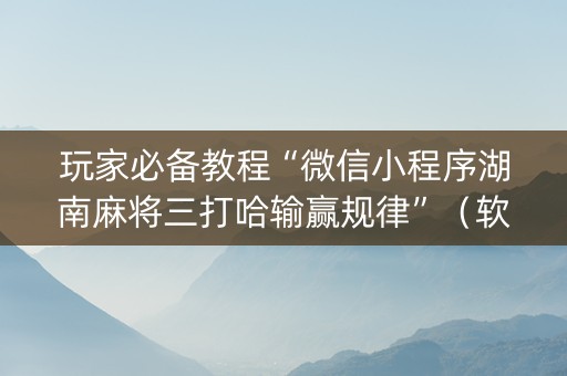 玩家必备教程“微信小程序湖南麻将三打哈输赢规律”（软挂神器)
