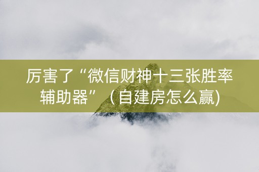 厉害了“微信财神十三张胜率辅助器”（自建房怎么赢)