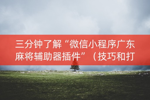 三分钟了解“微信小程序广东麻将辅助器插件”（技巧和打好牌方法)