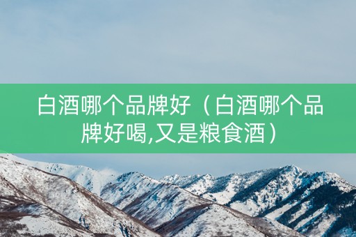 白酒哪个品牌好（白酒哪个品牌好喝,又是粮食酒）