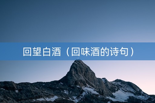 回望白酒（回味酒的诗句）
