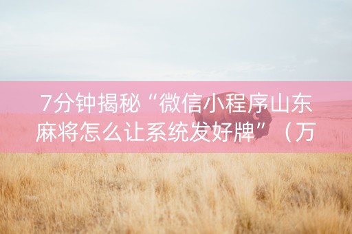 7分钟揭秘“微信小程序山东麻将怎么让系统发好牌”（万能开挂神器)
