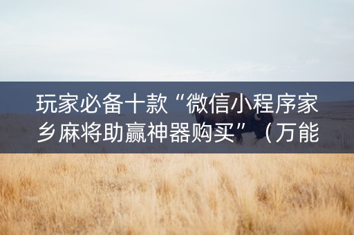 玩家必备十款“微信小程序家乡麻将助赢神器购买”（万能开挂神器)
