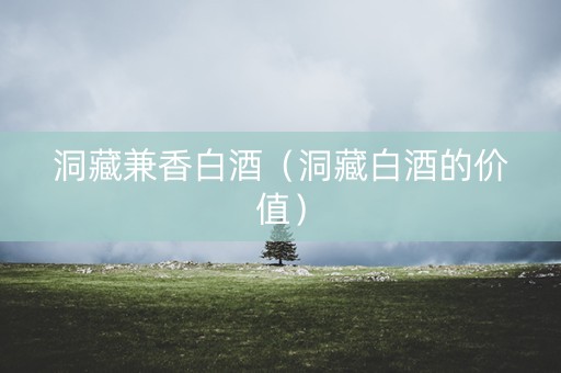洞藏兼香白酒（洞藏白酒的价值）