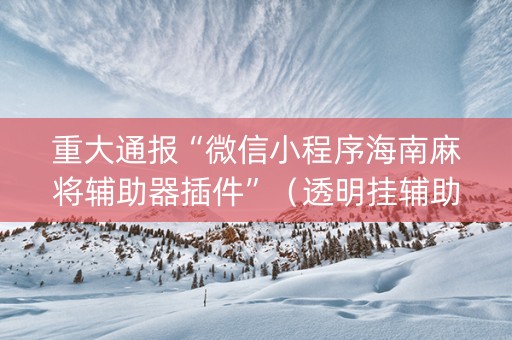 重大通报“微信小程序海南麻将辅助器插件”（透明挂辅助器)