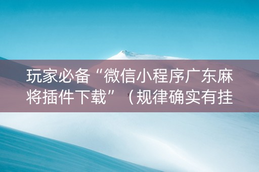 玩家必备“微信小程序广东麻将插件下载”（规律确实有挂)