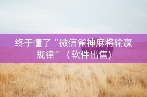 终于懂了“微信雀神麻将输赢规律”（软件出售)