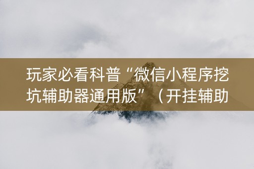 玩家必看科普“微信小程序挖坑辅助器通用版”（开挂辅助脚本)