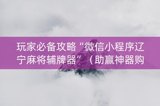 玩家必备攻略“微信小程序辽宁麻将辅牌器”（助赢神器购买)