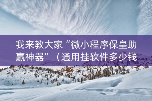 我来教大家“微小程序保皇助赢神器”（通用挂软件多少钱)