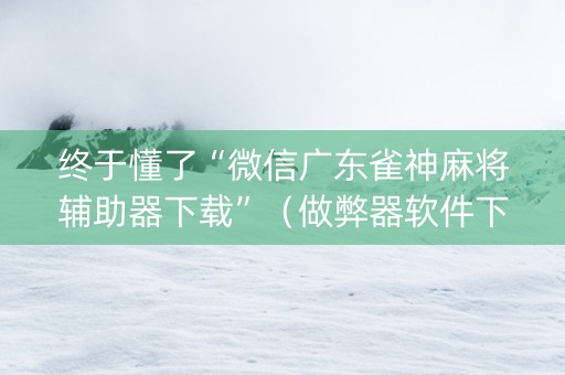 终于懂了“微信广东雀神麻将辅助器下载”（做弊器软件下载)
