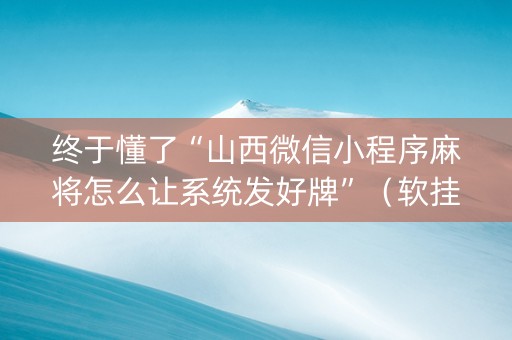 终于懂了“山西微信小程序麻将怎么让系统发好牌”（软挂神器)