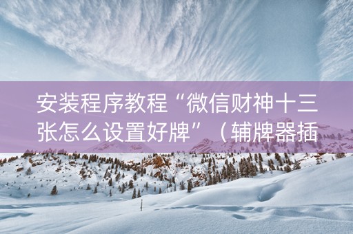 安装程序教程“微信财神十三张怎么设置好牌”（辅牌器插件购买)
