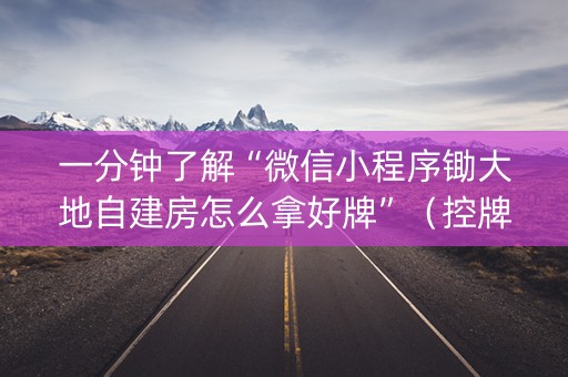一分钟了解“微信小程序锄大地自建房怎么拿好牌”（控牌神器)