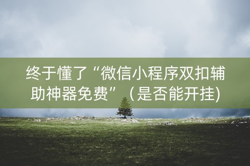 终于懂了“微信小程序双扣辅助神器免费”（是否能开挂)