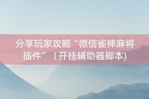 分享玩家攻略“微信雀神麻将插件”（开挂辅助器脚本)
