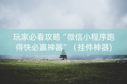 玩家必看攻略“微信小程序跑得快必赢神器”（挂件神器)