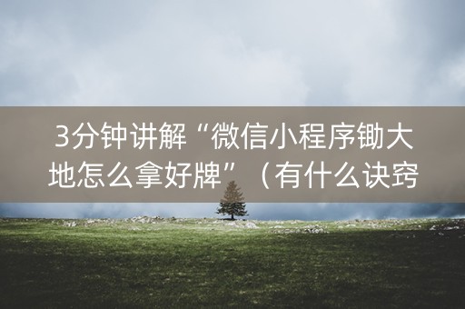 3分钟讲解“微信小程序锄大地怎么拿好牌”（有什么诀窍)