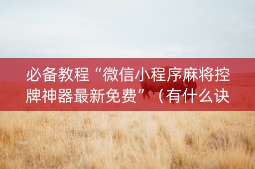 必备教程“微信小程序麻将控牌神器最新免费”（有什么诀窍)