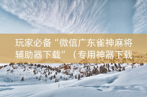 玩家必备“微信广东雀神麻将辅助器下载”（专用神器下载)