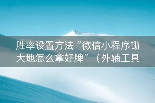 胜率设置方法“微信小程序锄大地怎么拿好牌”（外辅工具)