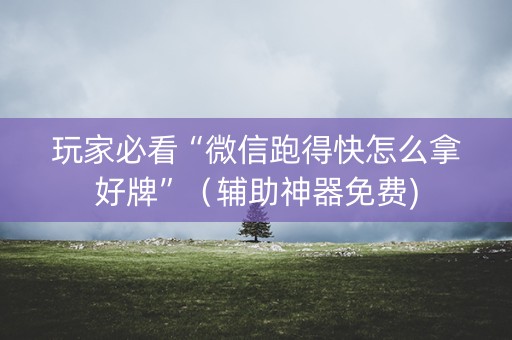 玩家必看“微信跑得快怎么拿好牌”（辅助神器免费)
