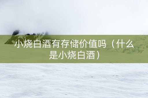 小烧白酒有存储价值吗（什么是小烧白酒）