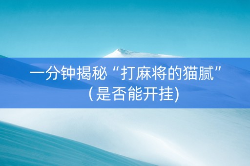 一分钟揭秘“打麻将的猫腻”（是否能开挂)