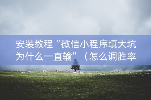 安装教程“微信小程序填大坑为什么一直输”（怎么调胜率)