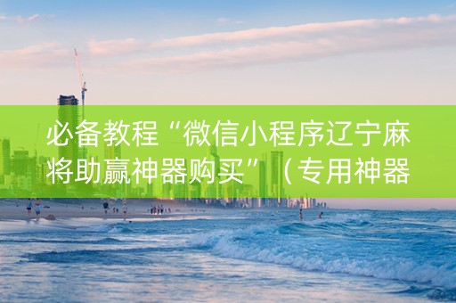 必备教程“微信小程序辽宁麻将助赢神器购买”（专用神器)