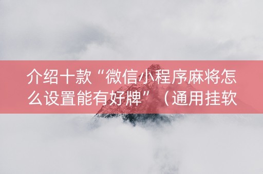 介绍十款“微信小程序麻将怎么设置能有好牌”（通用挂软件多少钱)