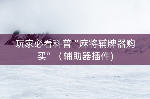 玩家必看科普“麻将辅牌器购买”（辅助器插件)