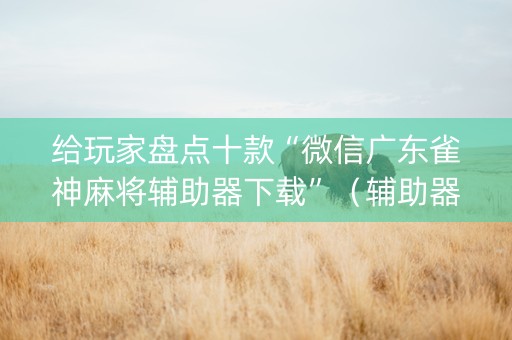 给玩家盘点十款“微信广东雀神麻将辅助器下载”（辅助器插件)