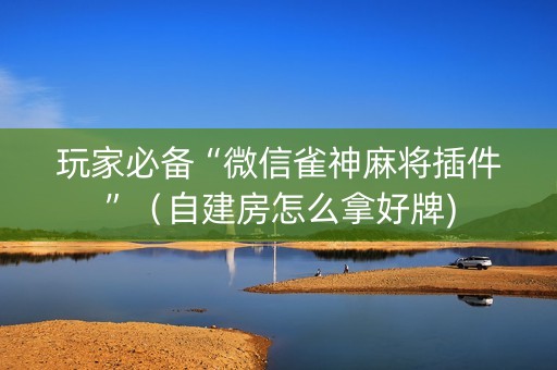 玩家必备“微信雀神麻将插件”（自建房怎么拿好牌)