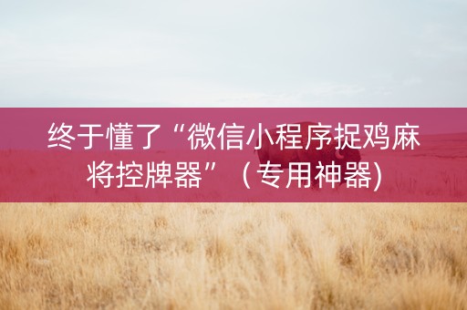 终于懂了“微信小程序捉鸡麻将控牌器”（专用神器)