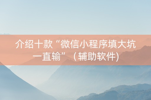介绍十款“微信小程序填大坑一直输”（辅助软件)
