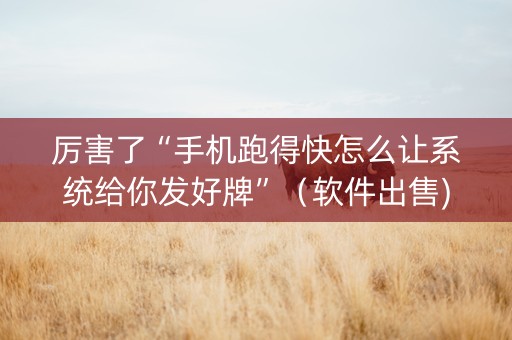 厉害了“手机跑得快怎么让系统给你发好牌”（软件出售)
