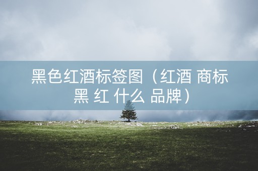 黑色红酒标签图（红酒 商标 黑 红 什么 品牌）