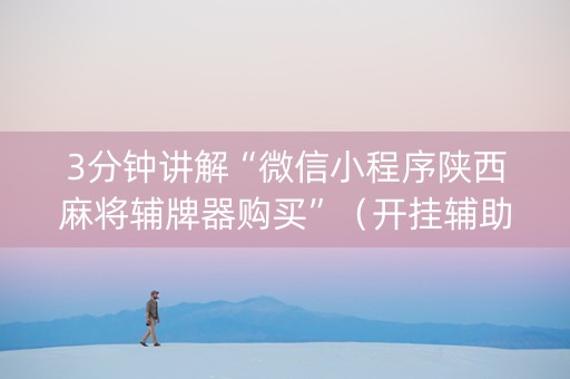 3分钟讲解“微信小程序陕西麻将辅牌器购买”（开挂辅助脚本)