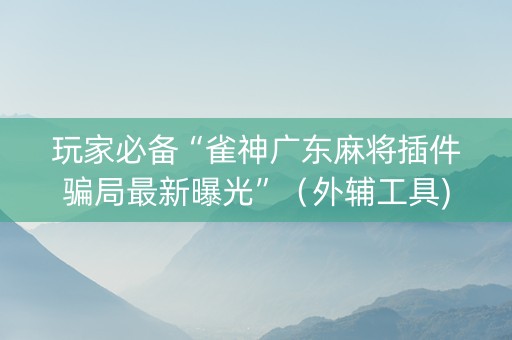 玩家必备“雀神广东麻将插件骗局最新曝光”（外辅工具)