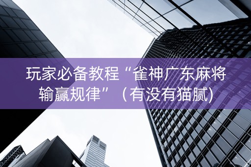 玩家必备教程“雀神广东麻将输赢规律”（有没有猫腻)