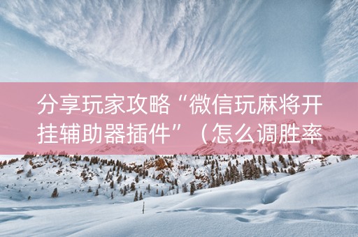 分享玩家攻略“微信玩麻将开挂辅助器插件”（怎么调胜率)