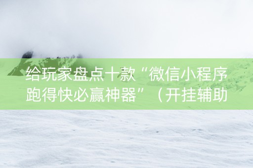 给玩家盘点十款“微信小程序跑得快必赢神器”（开挂辅助插件)