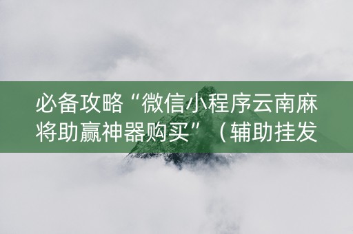 必备攻略“微信小程序云南麻将助赢神器购买”（辅助挂发牌规律)