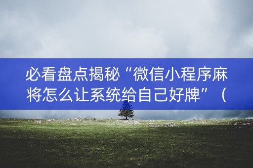 必看盘点揭秘“微信小程序麻将怎么让系统给自己好牌”（专用神器下载)