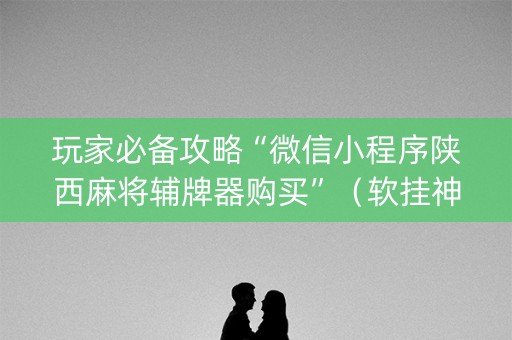玩家必备攻略“微信小程序陕西麻将辅牌器购买”（软挂神器)