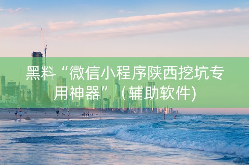 黑料“微信小程序陕西挖坑专用神器”（辅助软件)